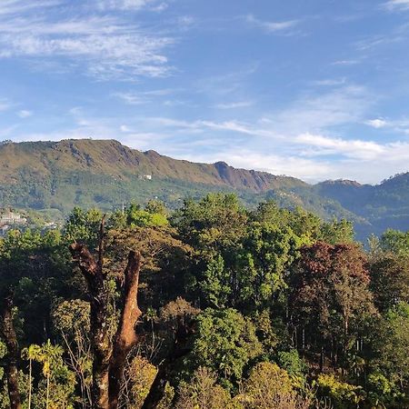 Green Tea View Munnar Buitenkant foto