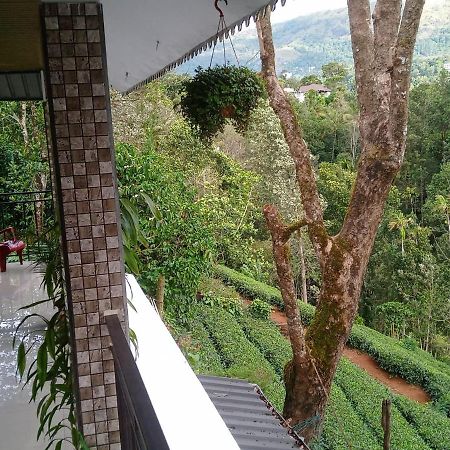 Green Tea View Munnar Buitenkant foto