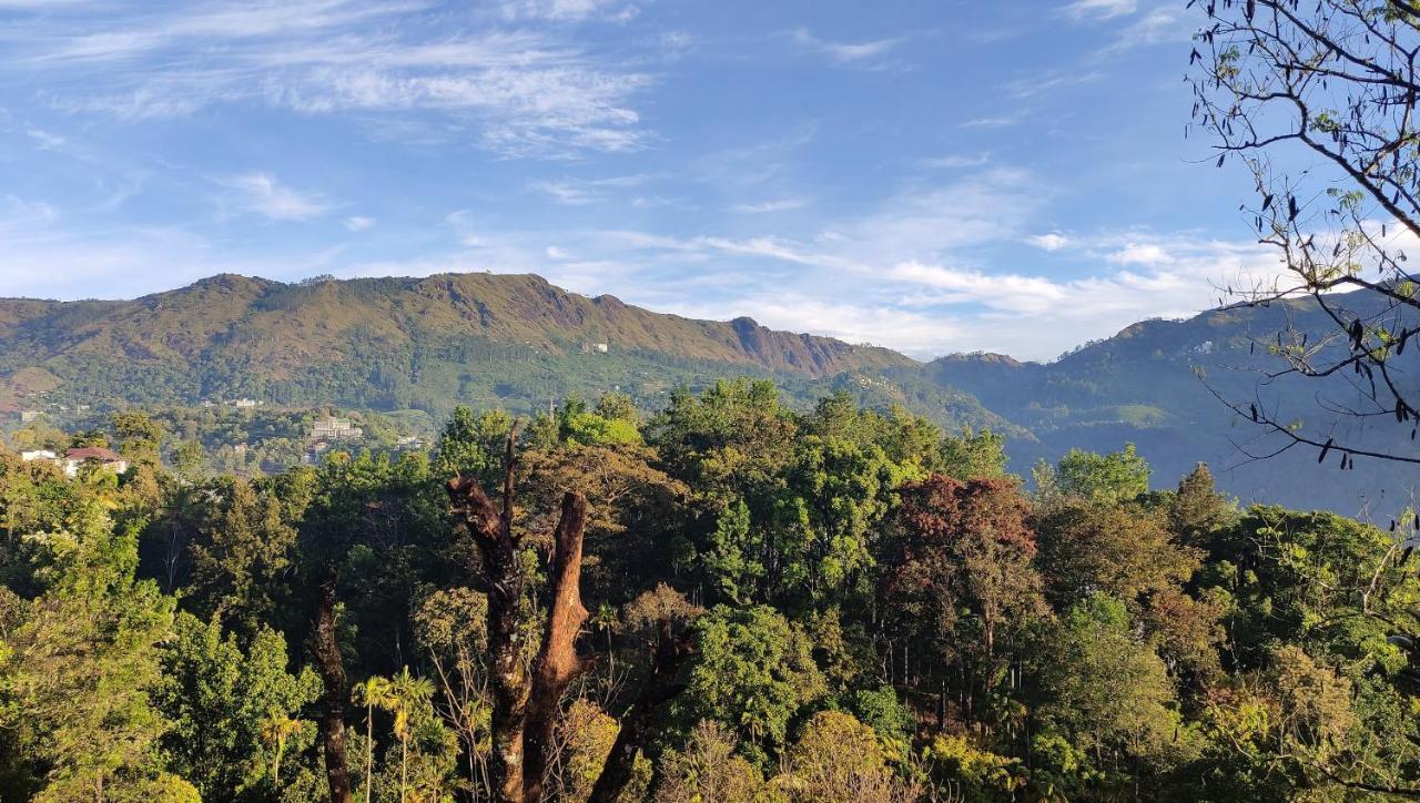 Green Tea View Munnar Buitenkant foto