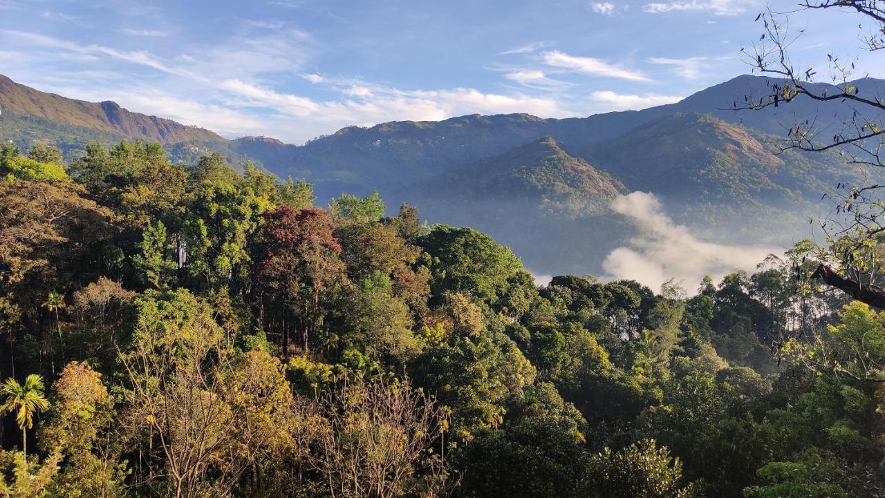 Green Tea View Munnar Buitenkant foto
